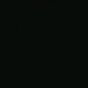 Meet your Posher, Rene